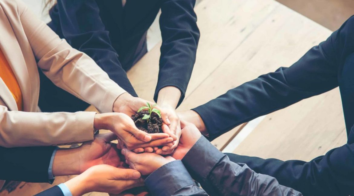 Hands adult business Team Work partnership harmony Cupping young Plant and seeding Nurture grow Environmental and reduce global warming help earth, top view.  Ecology agriculture Concept